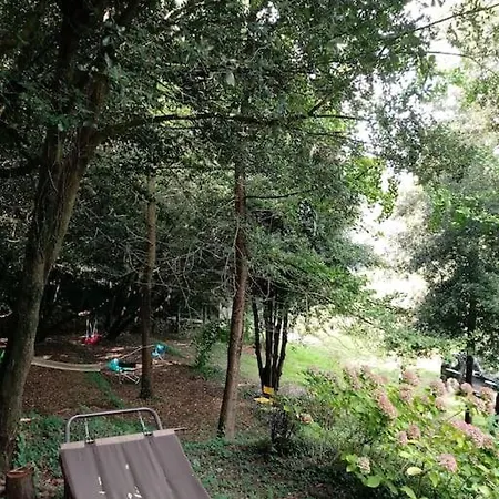 Nel Bosco Con Accesso Diretto Al Lago Chalet Genzano di Roma