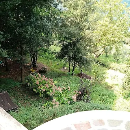 Nel Bosco Con Accesso Diretto Al Lago