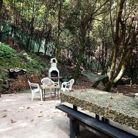 Nel Bosco Con Accesso Diretto Al Lago * Genzano di Roma