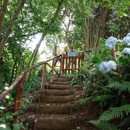Nel Bosco Con Accesso Diretto Al Lago Genzano di Roma